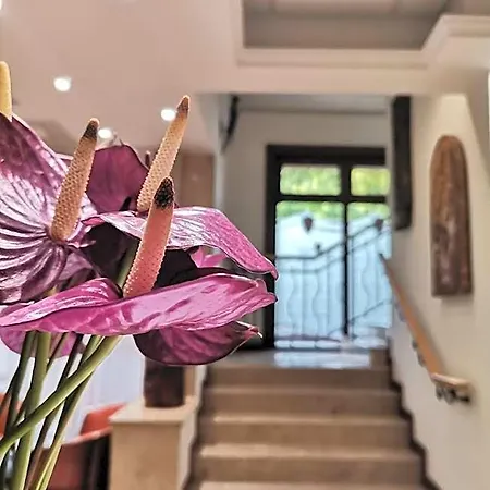 Hotel Nimrod Bioszalloda Es Bioetterem